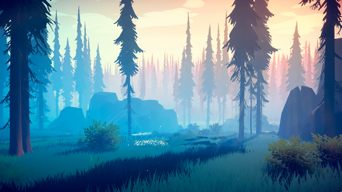 4K forest with tall trees and rocks