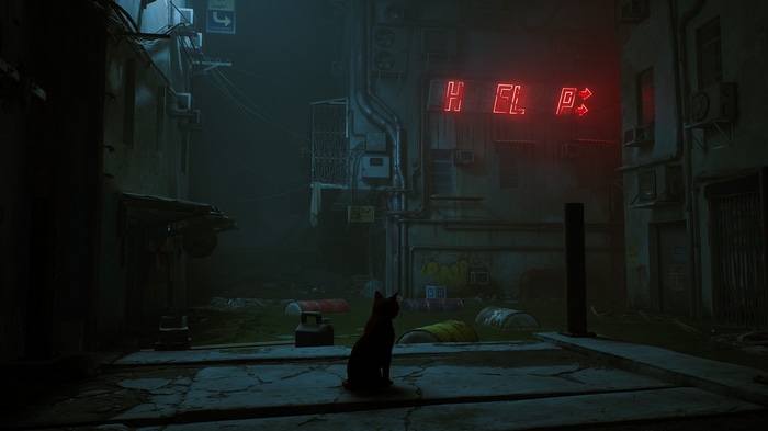 Black cat in a dystopian alley with a HELP sign