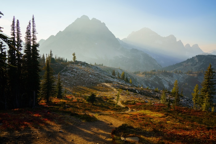 Misty Mountains Landscape in Washington