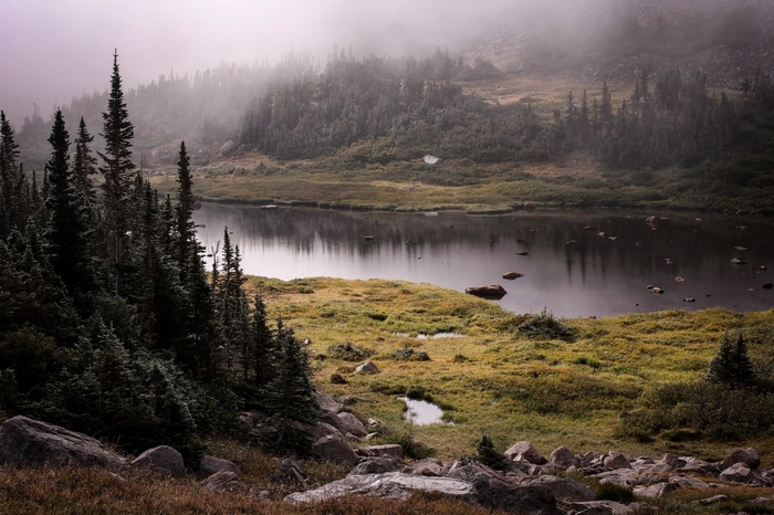 Misty lake and forest in Colorado
