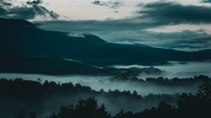 4K Misty Forest Landscape in Tennessee at Dawn