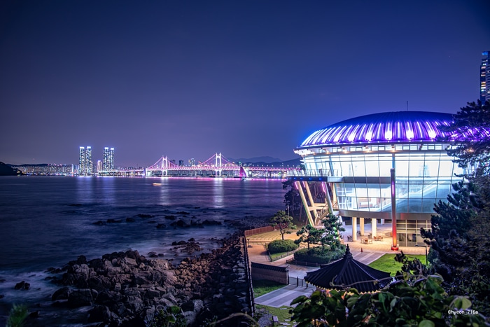 Busan night cityscape with illuminated bridge and modern building