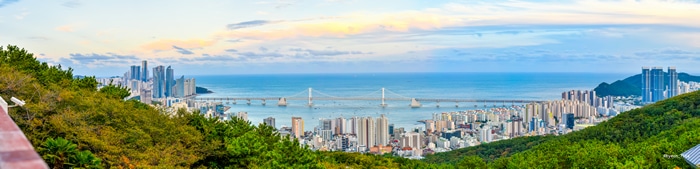 Busan panorama with Gwangan Bridge and cityscape