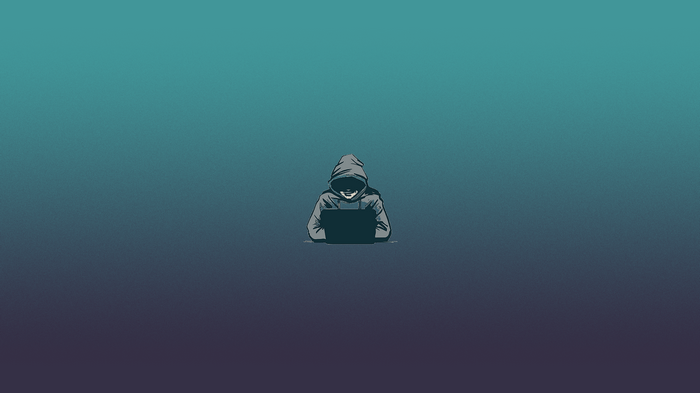 Minimalist hacker with a laptop
