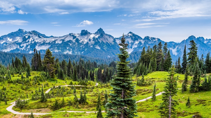 4K landscape of snow-capped mountains and evergreen forest