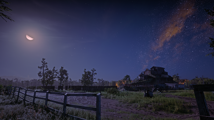 Red Dead Redemption 2 night landscape with moon and stars