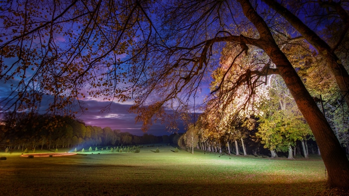 4K night landscape of a garden in France with lights