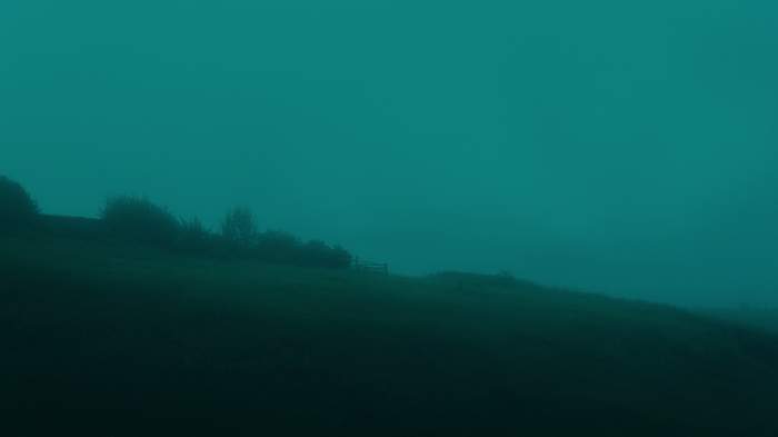 Misty landscape with trees and a fence