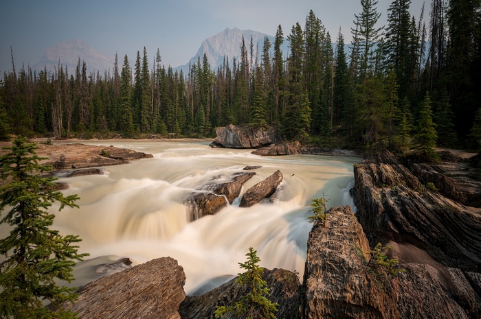 River flowing through a forest with mountains in the background
