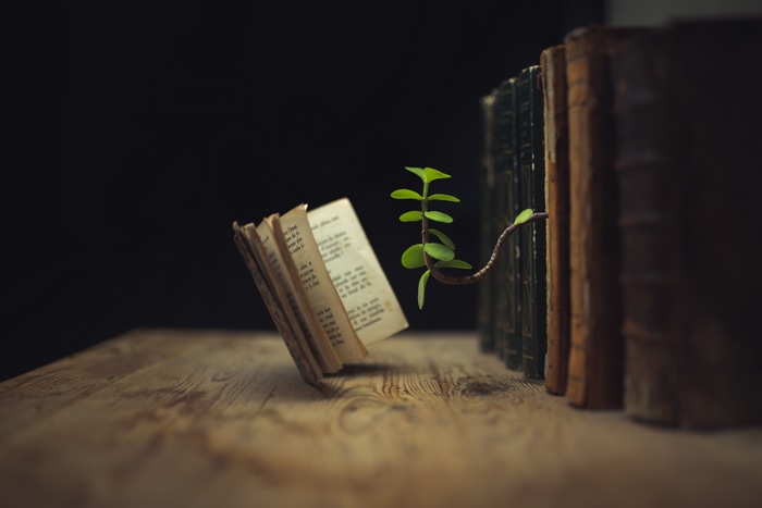 4K: Plant growing from books on wooden table