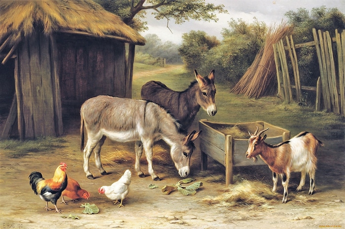 Painting of donkeys, chickens, and goats on a farm