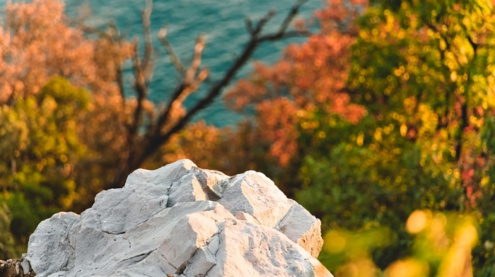 4K rocks and trees in fall by the water