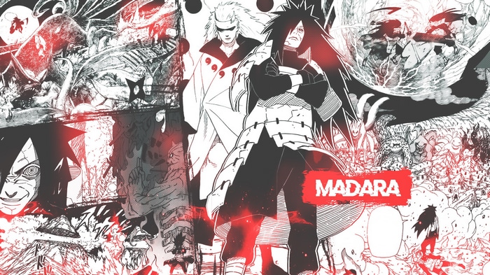 Madara and Hashirama from Naruto