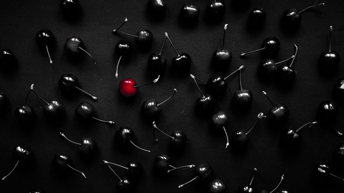 4K cherries on a dark background