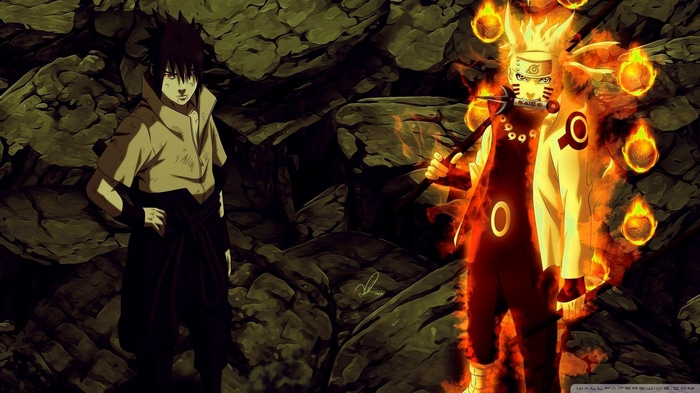 Naruto Shippuden: Naruto and Sasuke