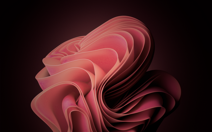 4K Windows 11 abstract pink design