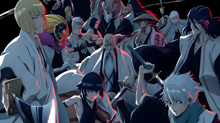 Bleach: Thousand-Year Blood War Gotei 13