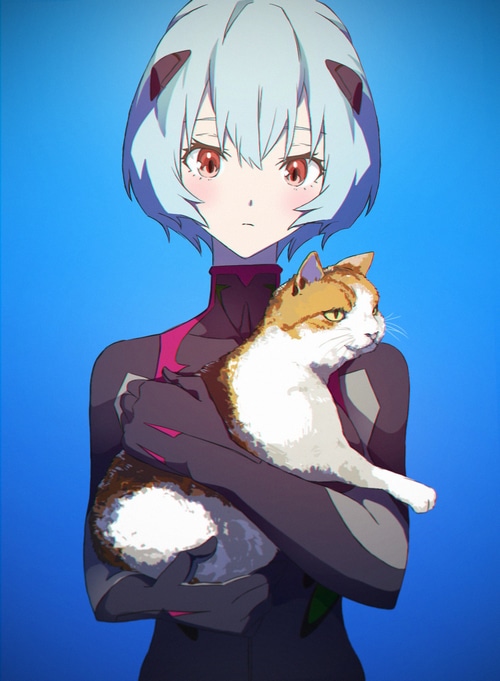Ayanami Rei holding a cat