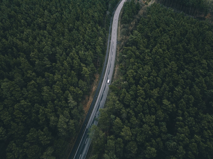 Aerial view of a road through a green forest