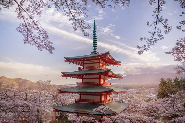 4K Japan Pagoda with Mount Fuji and Cherry Blossoms