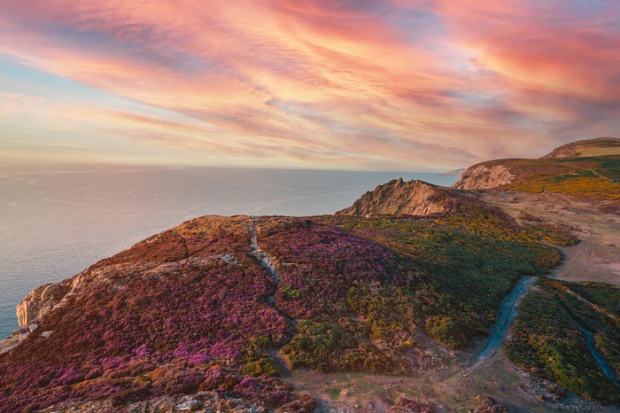 4K sunset over cliffs with flowers and sea
