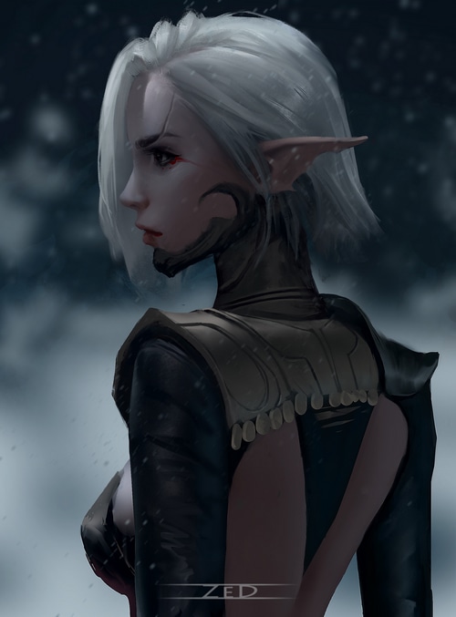 Elf woman with silver hair in profile
