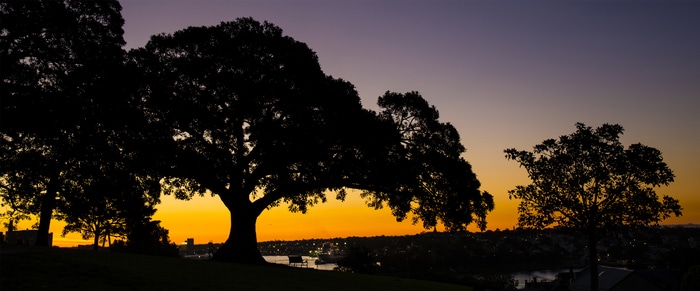 Silhouette of trees against sunset sky