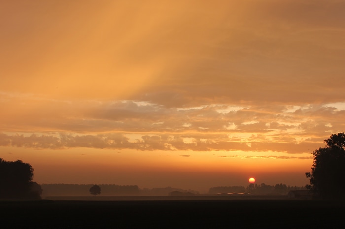 Sunrise over a misty rural landscape with trees