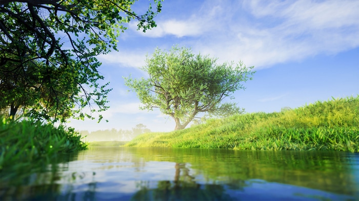 Green trees and grass by a calm river under a blue sky