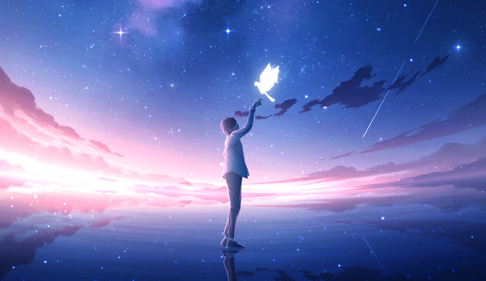 Anime boy reaching for a glowing bird under a starry sky