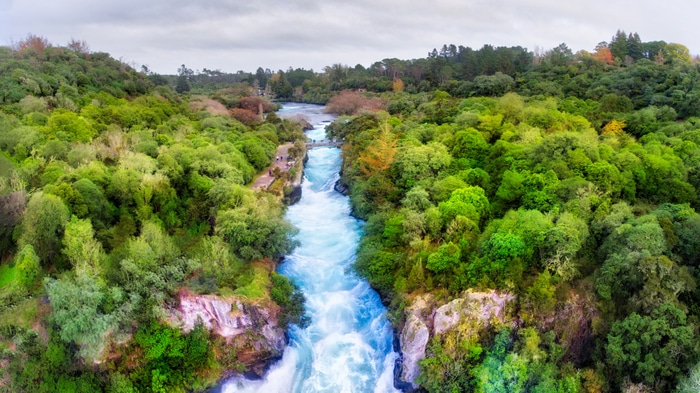 4K Huka Falls river flowing through a green forest in New Zealand
