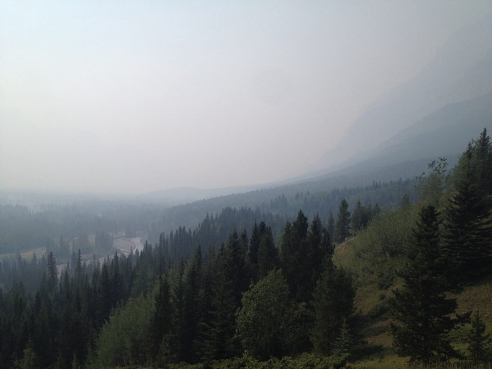 Smoky mountain landscape with evergreen trees