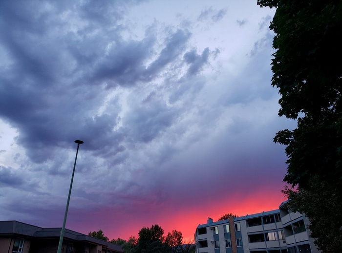 Dramatic sunset sky over buildings and trees
