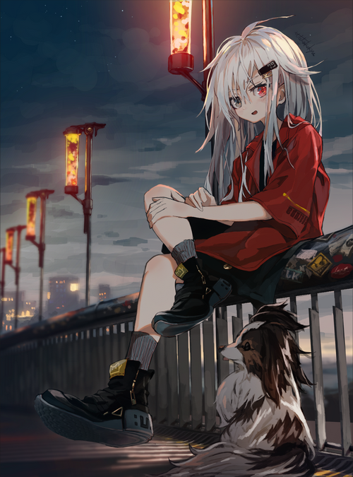Anime girl with white hair and a dog at night
