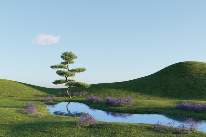 4K landscape with a tree and a pond