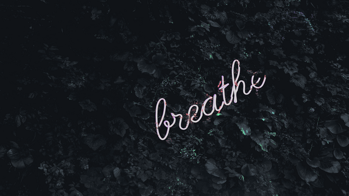 Neon 'breathe' sign on a dark leafy background