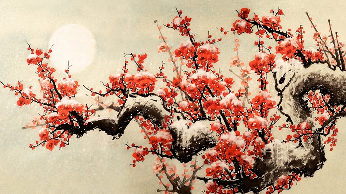 4K Cherry Blossom Trees in Snow