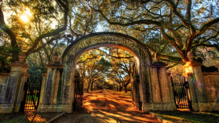 4K Wormsloe Archway and Avenue of Oaks