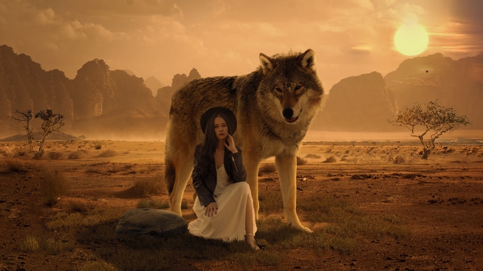 Woman and wolf in a desert landscape at sunset