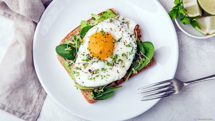 Avocado toast with fried egg and sprouts