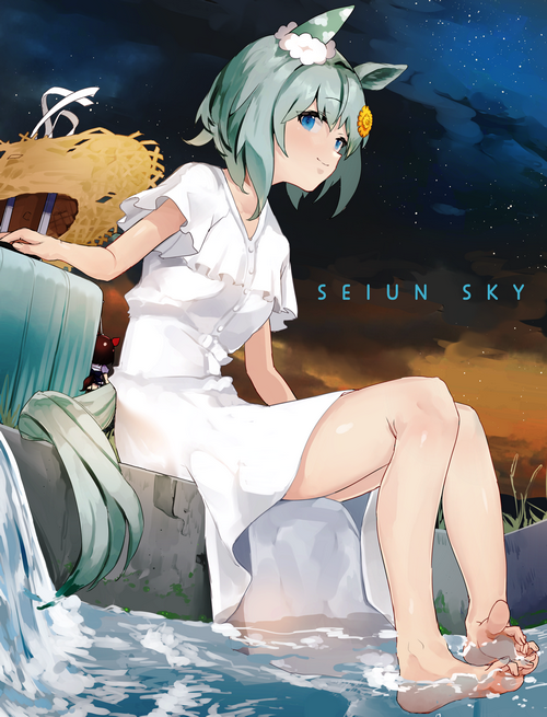 Seiun Sky Uma Musume Pretty Derby Fan Art
