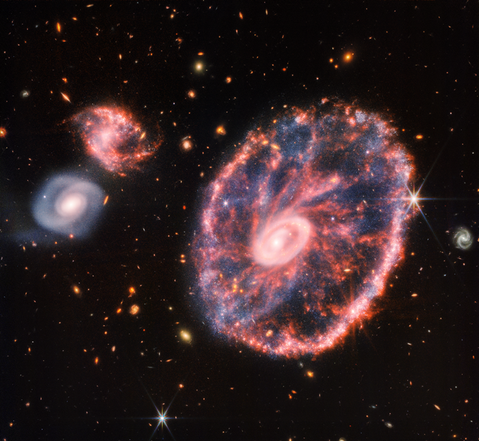 The Cartwheel Galaxy and companion galaxies observed by JWST