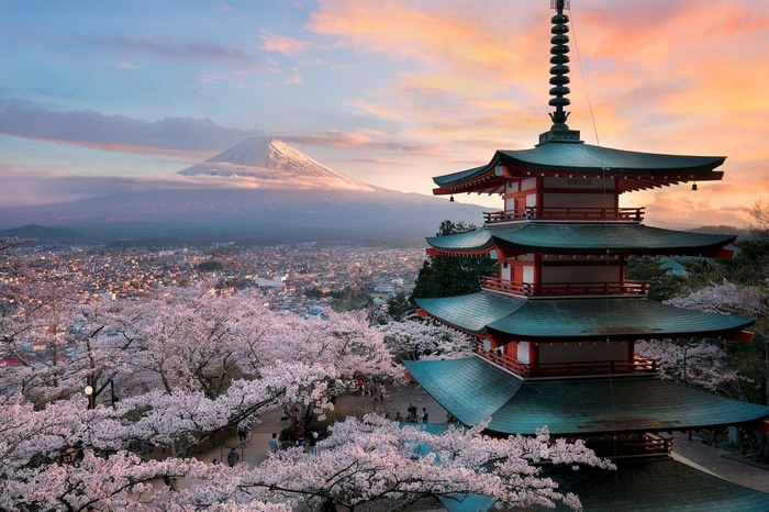 Mount Fuji and Pagoda with Cherry Blossoms in Japan