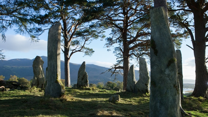 Standing stones in a wooded landscape