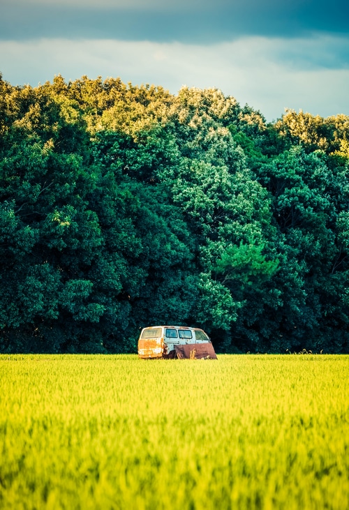 Old van in a field of grass with trees