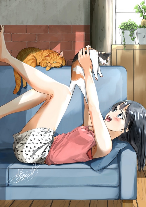 Girl playing with cats on a couch