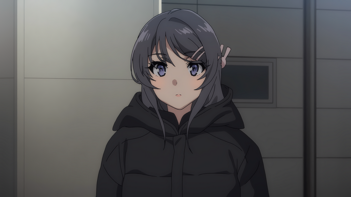 Sakurajima Mai from Seishun Buta Yarou wa Bunny Girl-senpai no Yume wo Minai