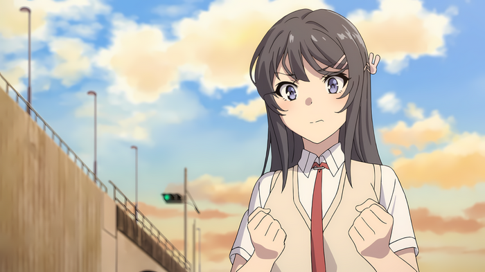 Sakurajima Mai from Seishun Buta Yarou wa Bunny Girl Senpai no Yume wo Minai