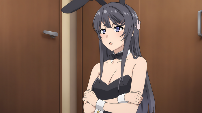 Sakurajima Mai in Bunny Girl Outfit