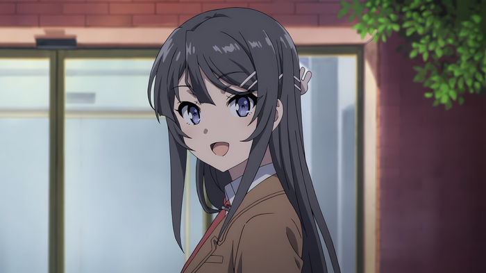 Sakurajima Mai from Seishun Buta Yarou wa Bunny Girl Senpai no Yume wo Minai